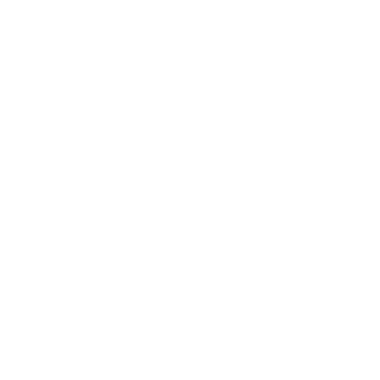 MPA Institute